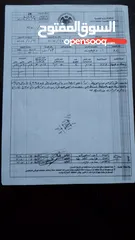  4 قطعة أرض في طريق بيرين أم رمانة للبيع 501 م2 .