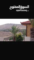  17 مزرعة للبيع بيرين منطقة الكمشة