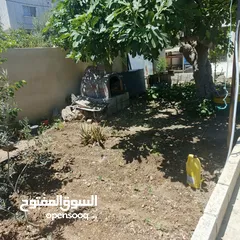  6 بيت طابقين  في ناطفه اقراء الوصف لتفاصيل اكثر كلشي مكتوب بالوصف
