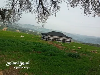  6 خيم شعر تراثيه