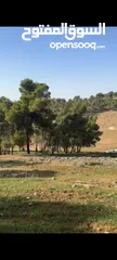  6 ارض مميزه للبيع  3 دونمات ونصف ارض مرتفعه مطله منطقه امنه  قطعة الارض تصلح  لبناء مزرعة او شاليه