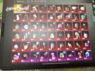  14 حساب ببجي للبيع الحساب متعوب عليه ولله