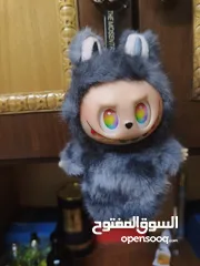  2 لابوب لجندري سيكريت للبيع، حجم قد كف ايد