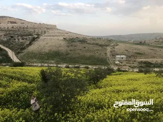  3 أرض بسعر مغري