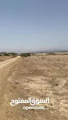  10 للبيع ارض في منطقة البحر الميت