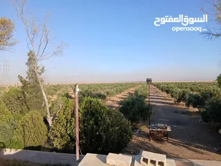  4 مزرعة للبيع ريف دمشق