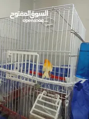  8 مطاير للبيع