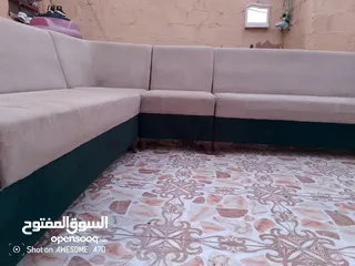  3 تخم قنفات تركي نضيف كلش  