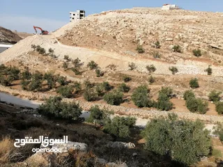  1 ارض للبيع في جناتا