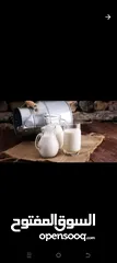  1 حليب ابقار طازج نصف دينار للكيلو