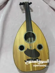  1 عود مصري ممتاز