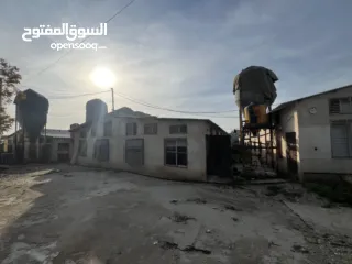  4 مشروع دواجن متكامل وجاهز للإنتاج – ليس مجرد أرض