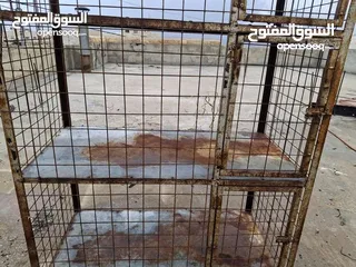  4 قفص كبير للحيوانات وطيور  اقرأ التفاصيل