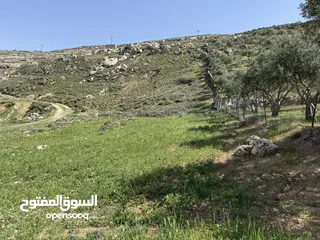  16 ارض للبيع قرمية حسبان 3100 متر لكامل القطعة قابل للأقساط