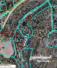  1 ارض 6 دونم  للبيع عصيرة الشمالية بسعر مغري كوشان نظيف