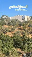  2 شاليهات عدد 2 بدون مسابح