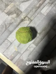  9 2 مضارب تنس ارض مع كره وحده اصلي نوع wilson للبيع