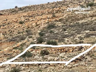  8 ارض بسعر مغري