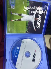  3 سيدي فيفا 25