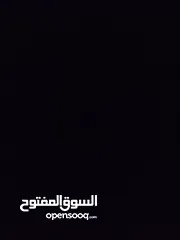  6 حساب بلوكس فروت للبيع  لفل 550  فواكه نادرة  فلوس 2,500,000  توزيع ممتاز  قابل للتفاوض