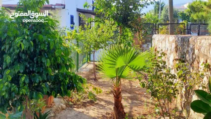  9 Panoramik Yunanistan Kos adası manzaralı satılık daire