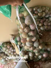  3 بصل عماني ..