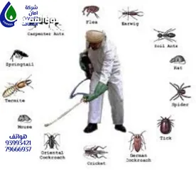  1 القضاء علي الحشرات