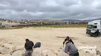  6 نجيل ملاعب رياضيه