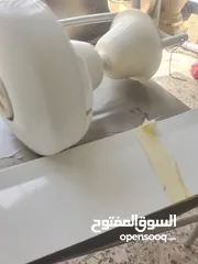  2 مروحه سقف اصليه نوع KDKياباني