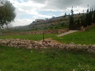  5 لقطة مزرعة مميزة 7 دونمات اراضي جرش عنيبة مشجره جاهزة
