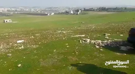  2 ارض للبيع في بلعما مساحة دونم