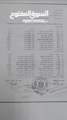  1 عصاء بيضاء بي كفر