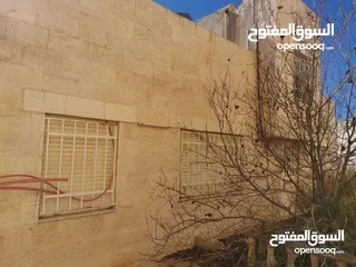  7 بيت مستقل للبيع منطقه ام رمانه  على حدود شفا بدران