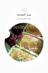  1 المحمدية للعسل / عسل وعضوي ونادر