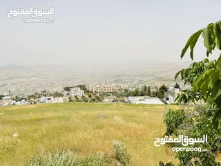  8 قطعة ارض للبيع في صويلح الكمالية