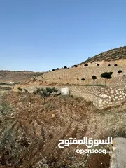  6 مزرعة في مغاريب السلط من المالك مباشرة