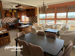  9 شقة مفروشة / الماصيون