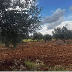  10 للبيع 3500م ثلاث دنم ونصف منطقة نادرة شرق جرش
