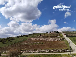  7 قطعه أرض في اجمل مواقع عجلون