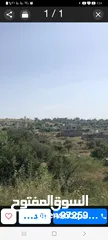  1 ارض للببع كوشان طابو سلطه  مساحه 45دونم طابو في دير غسانه