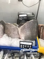  17 ‏للبيع سمك