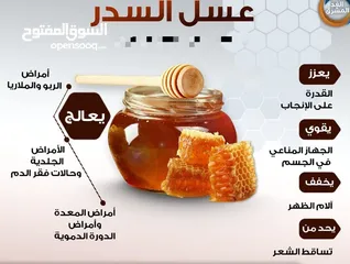  1 عسل السدر طبيعي 100%