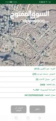  2 قطع أراضي للبيع في منطقة الروضة حوض منسف ابو زيد مطلة على البحر الميت