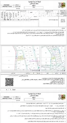  2 أرض صناعات خفيفه مطله على واجهتين على الشارع المطلوب 100000 دينار كامل القطعه