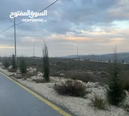  6 ارض اجنسنيا طابو