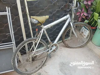  2 بسكليت جنط 24