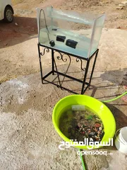  1 حوض سمك للبيع