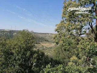  7 متوفر اراضي مساحات كبيره 100 دونم واكثر باسعار مناسبه