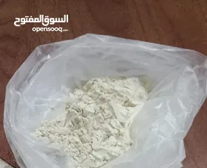  1 طلع النخيل المصري