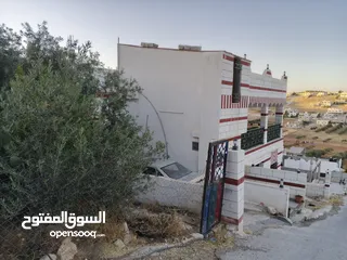  11 بيت للبيع بداعي السفر الموقع المفرق بلعما الحي الشمالي بجانب مسجد خالد بن الوليد  المالك الشيخ ماجد
